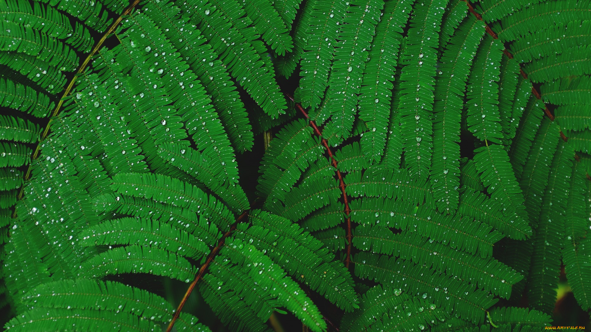 , , , , , , , , , , 